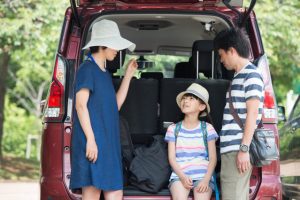 Your journey in Japan will be more enjoyable by using a rental car!